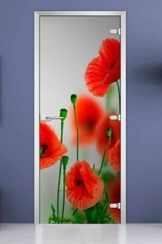 Стеклянная межкомнатная дверь с фотопечатью «Flowers-01»