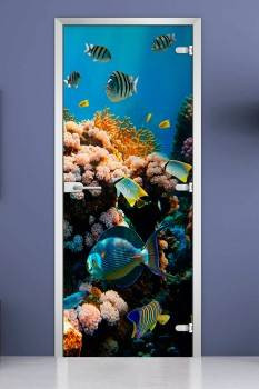 Стеклянная межкомнатная дверь с фотопечатью «Underwater World-14» Стеклянная межкомнатная дверь с фотопечатью «Underwater World-14»