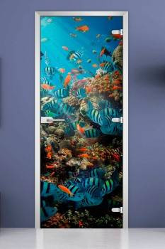 Стеклянная межкомнатная дверь с фотопечатью «Underwater World-16» Стеклянная межкомнатная дверь с фотопечатью «Underwater World-16»