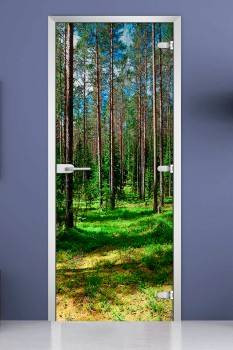 Стеклянная межкомнатная дверь с фотопечатью «Forest-03» Стеклянная межкомнатная дверь с фотопечатью «Forest-03»