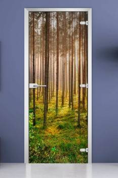 Стеклянная межкомнатная дверь с фотопечатью «Forest-13»