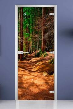 Стеклянная межкомнатная дверь с фотопечатью «Forest-17» Стеклянная межкомнатная дверь с фотопечатью «Forest-17»