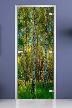 Стеклянная межкомнатная дверь с фотопечатью «Forest-20»